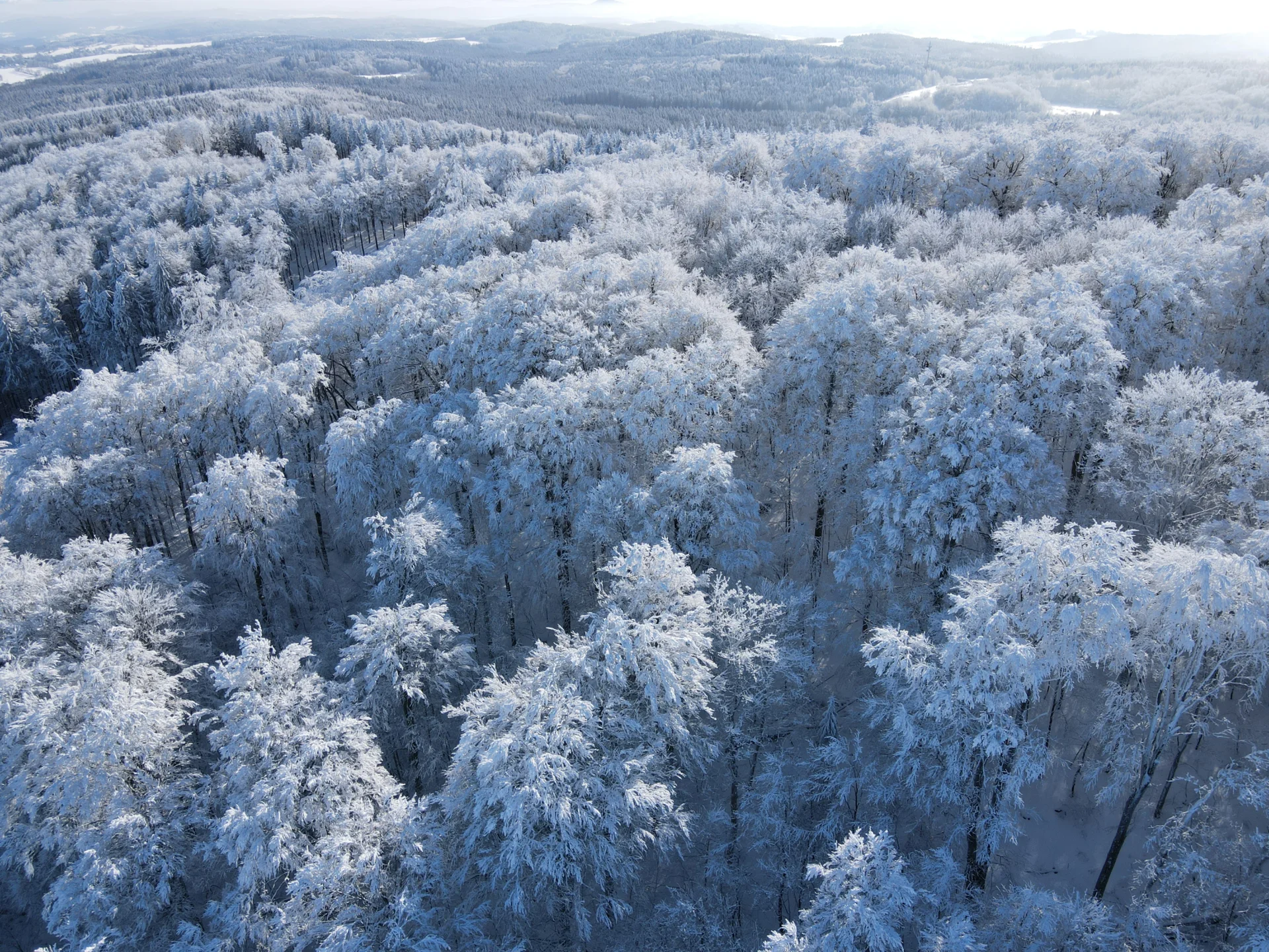 Bild: Copyright R.Petasch - Valtenberg-Winter