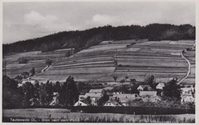 Vorschaubild: Blick von Tautewalde zum Picho (Verlag Fritz Matthias, Dresden ca. 1940)