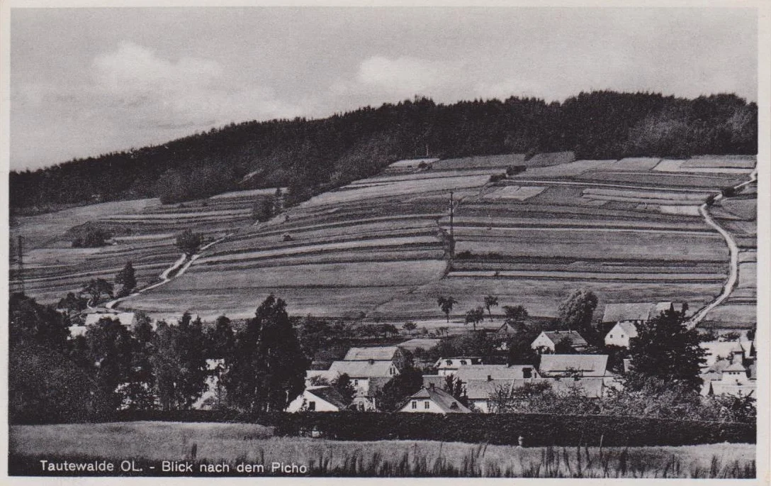 Bild: Blick von Tautewalde zum Picho (Verlag Fritz Matthias, Dresden ca. 1940)