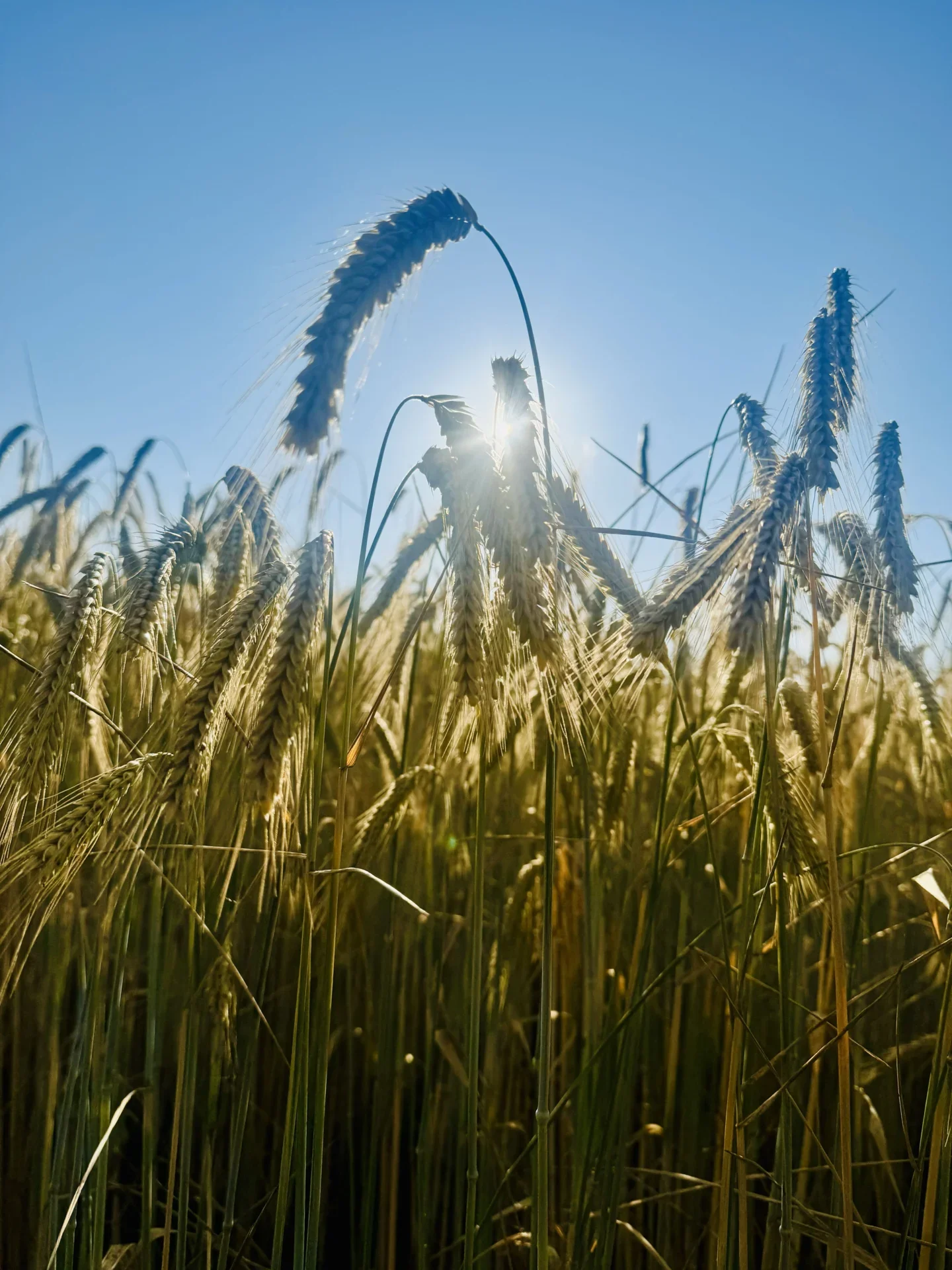 Zur Galerie: Kalt kann auch Sommer