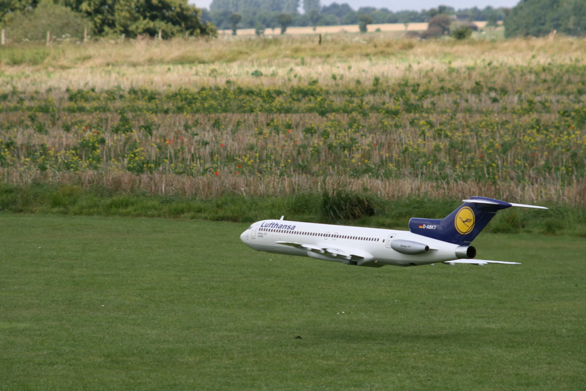 Foto der Galerie: Airshow 2008