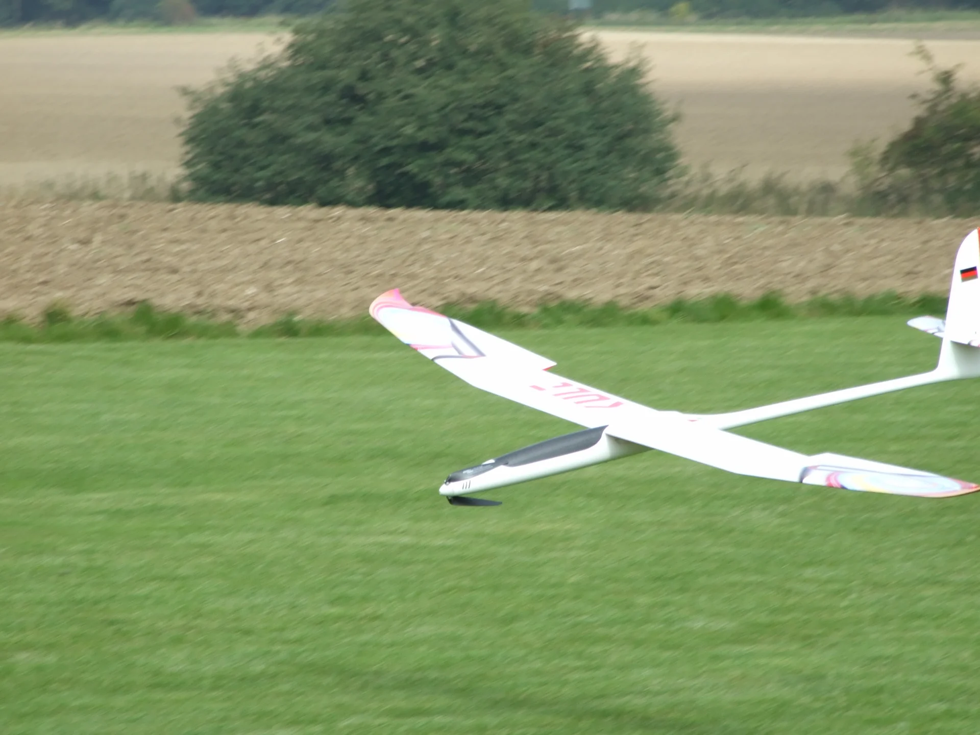 Foto der Galerie: Seglercup 2008