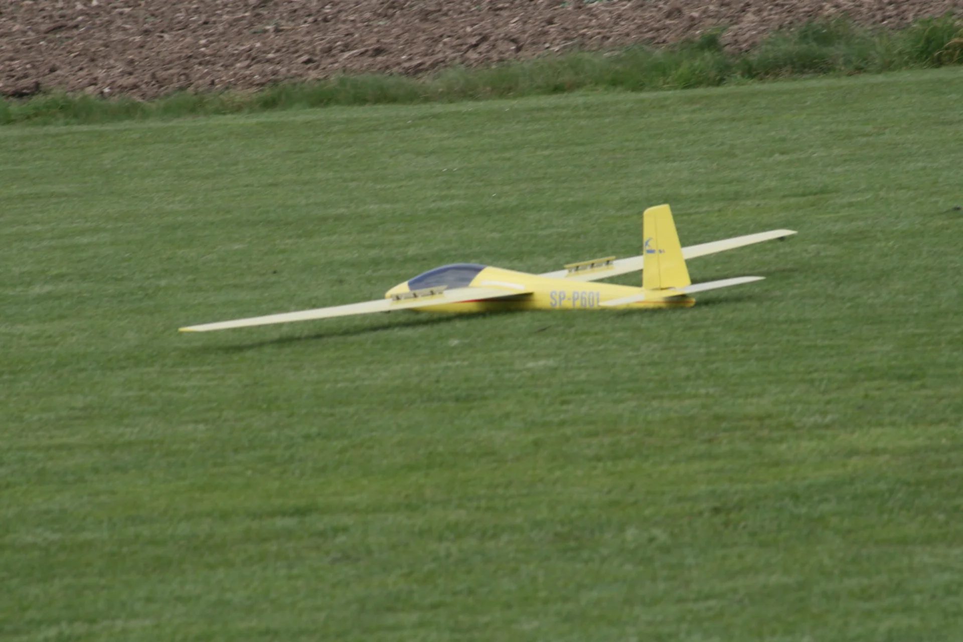 Foto der Galerie: Seglercup 2008