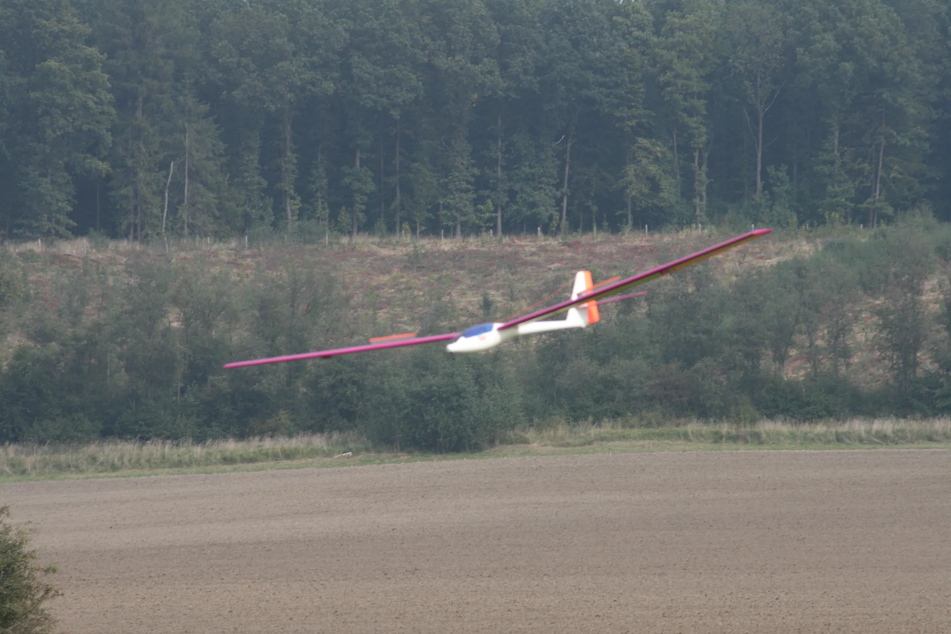 Foto der Galerie: Seglercup 2008