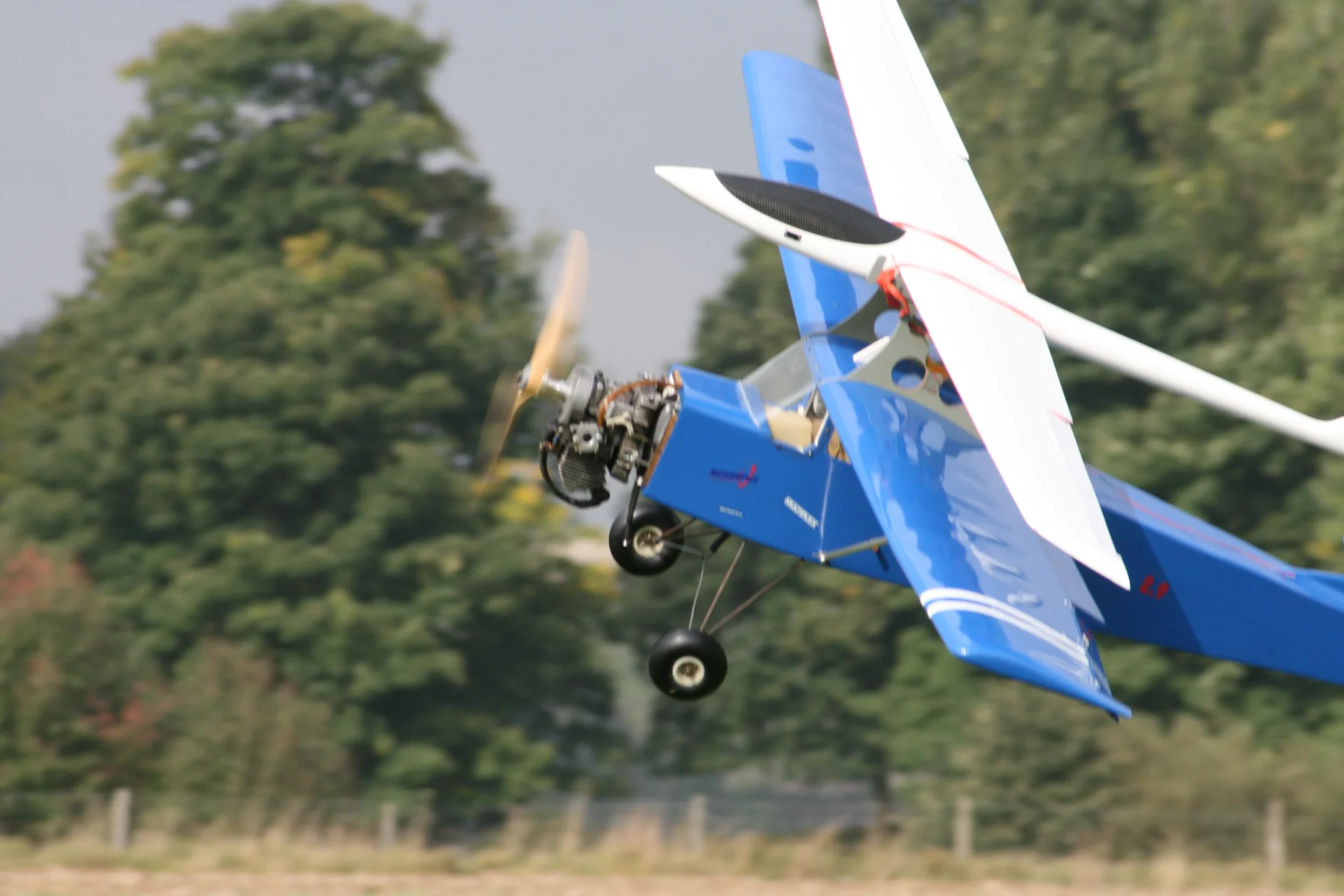 Foto der Galerie: Seglercup 2008