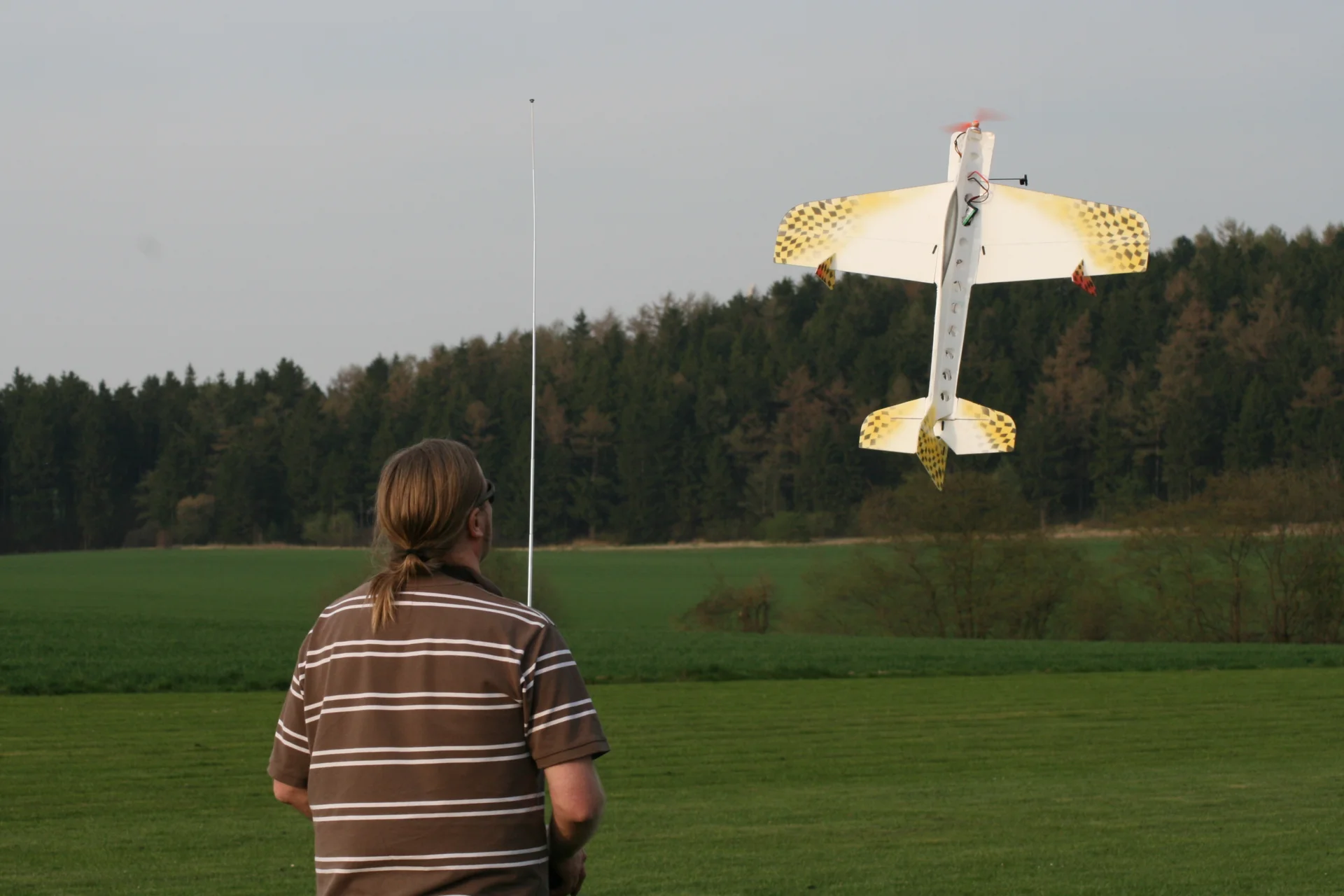 Foto der Galerie: Anfliegen 2009