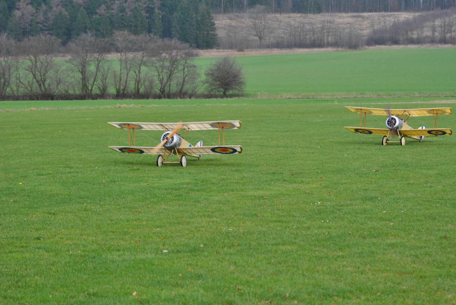 Foto der Galerie: Jahresimpressionen 2009