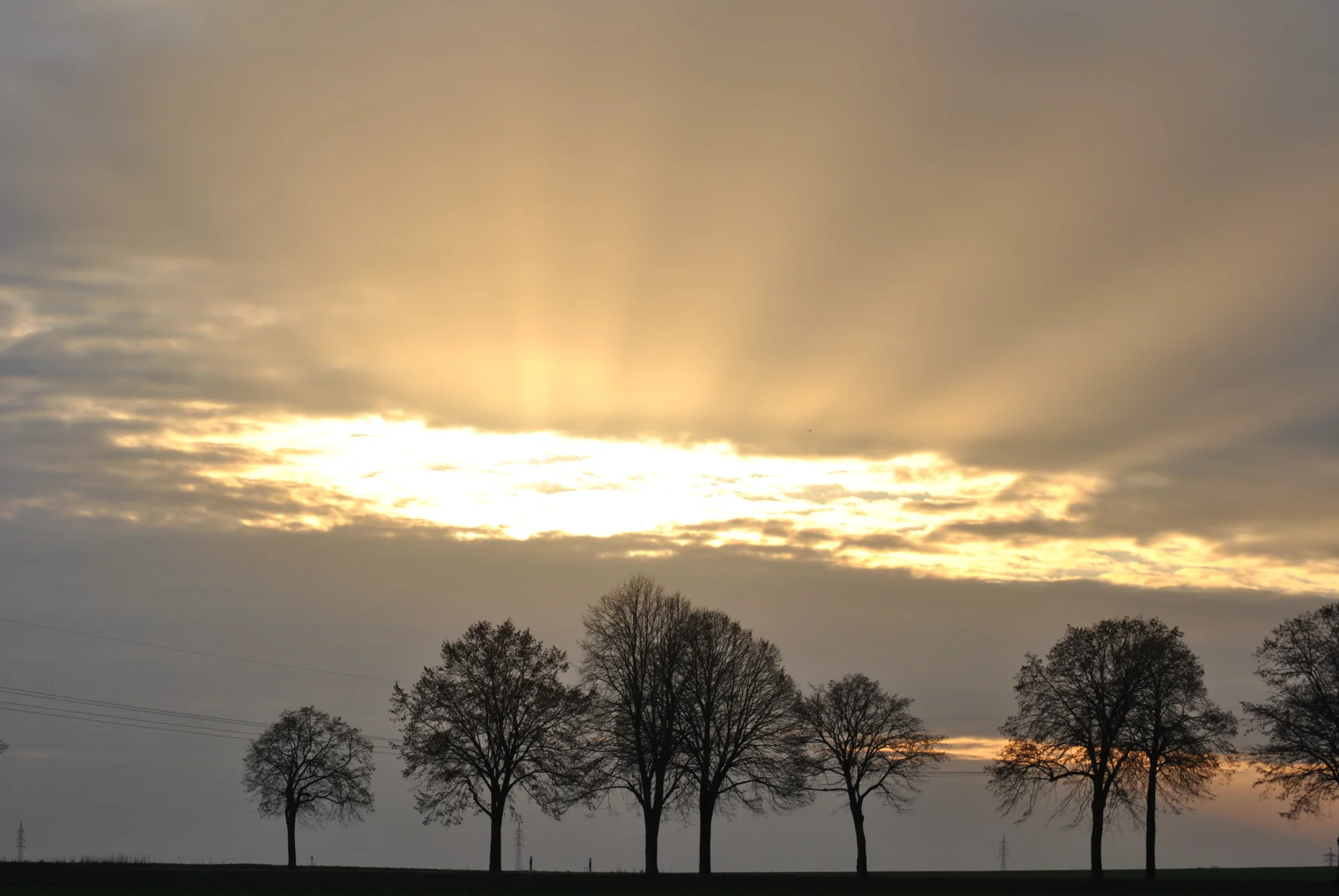 Zur Galerie: Jahresimpressionen 2009