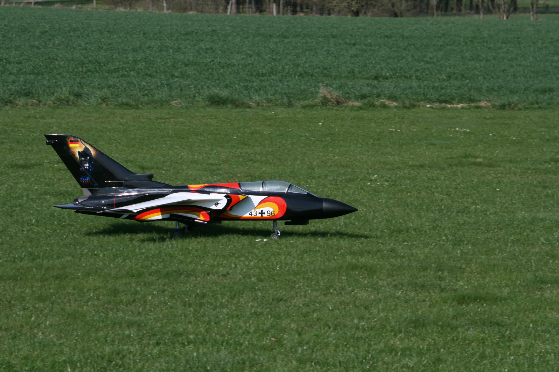 Foto der Galerie: Jahresimpressionen 2009