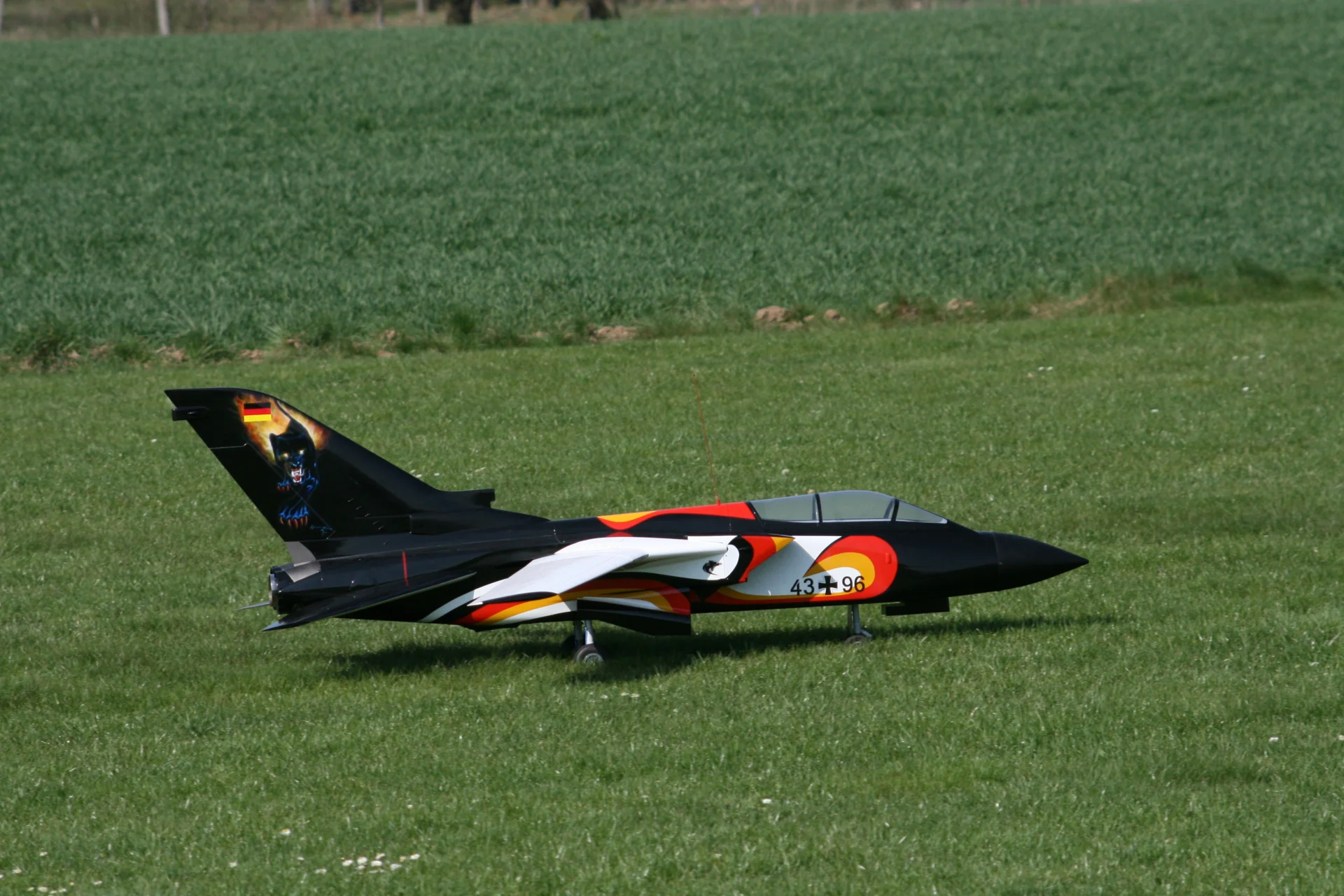Foto der Galerie: Jahresimpressionen 2009