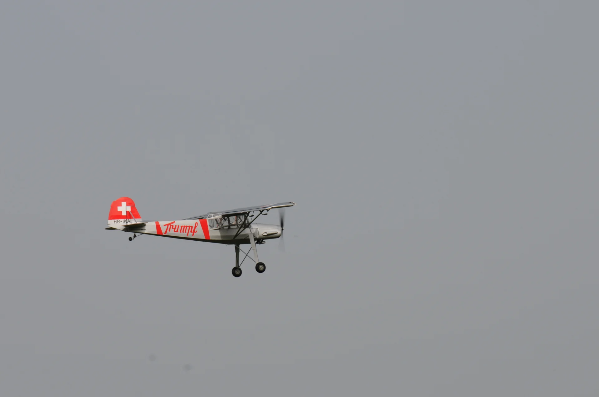 Foto der Galerie: Fieseler Storch Fi156 M1:6 (Hans Ries)