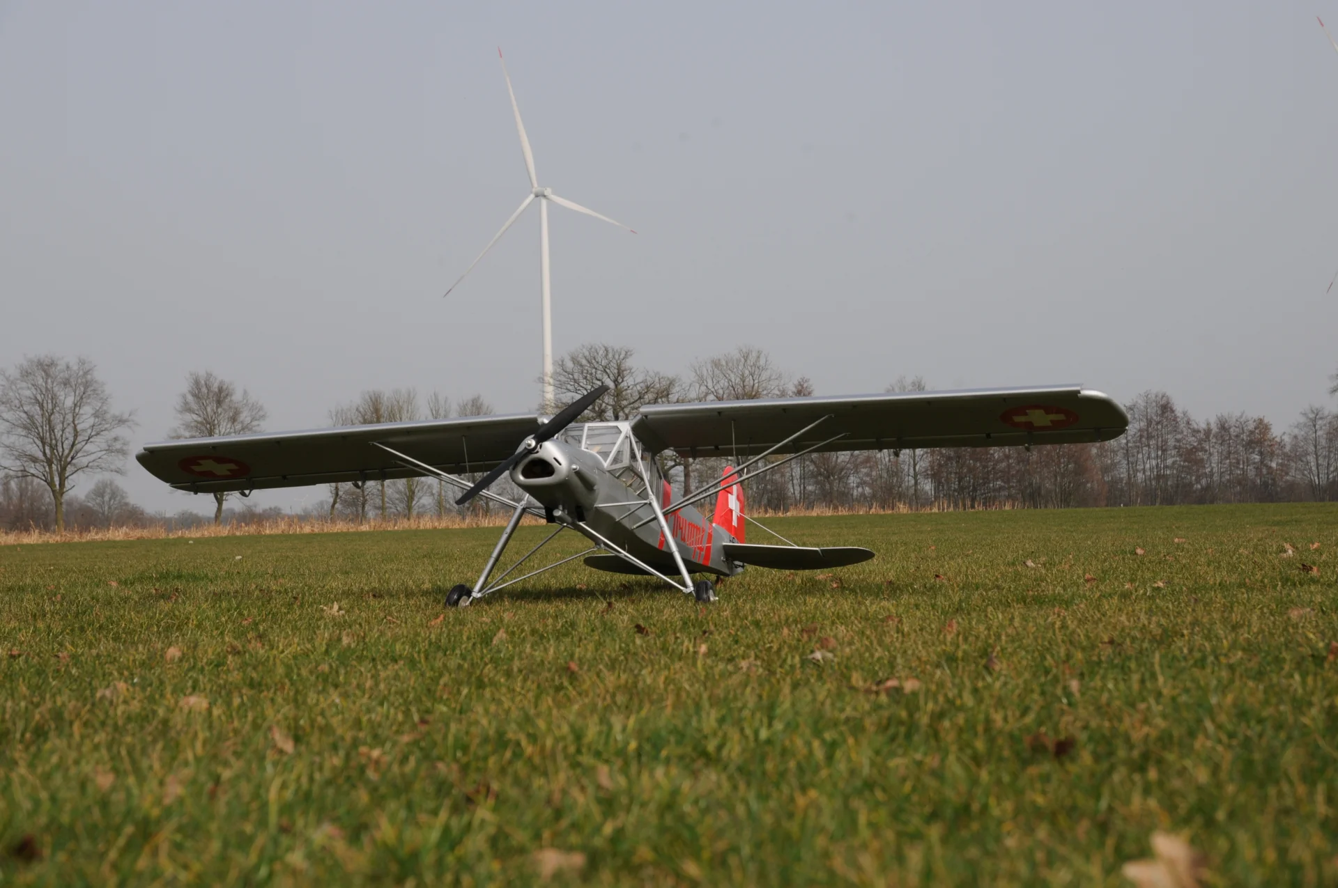 Foto der Galerie: Fieseler Storch Fi156 M1:6 (Hans Ries)