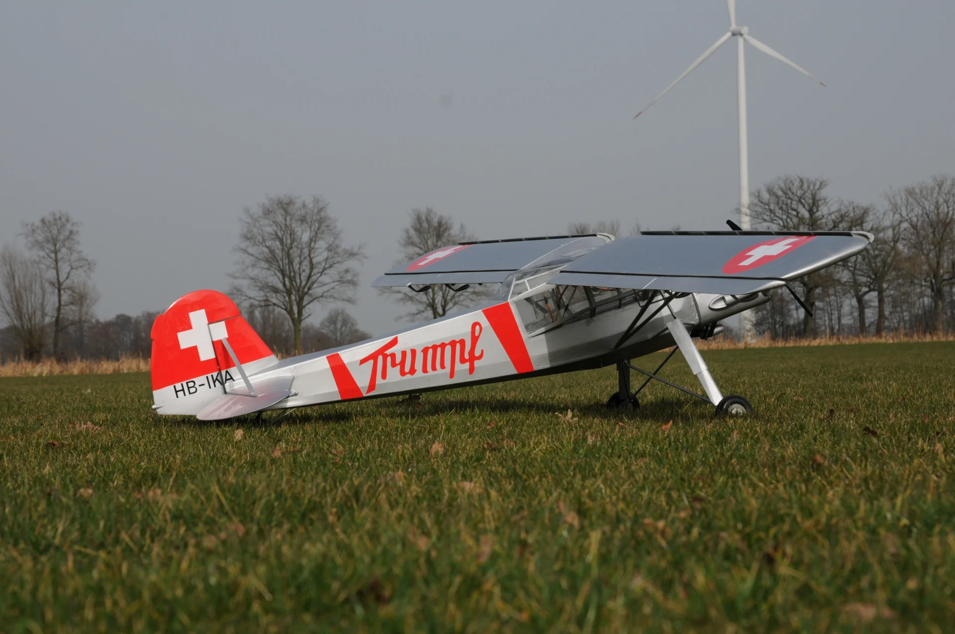Foto der Galerie: Fieseler Storch Fi156 M1:6 (Hans Ries)