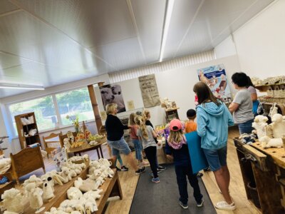 Vorschaubild der Galerie