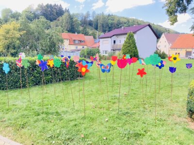Vorschaubild der Galerie