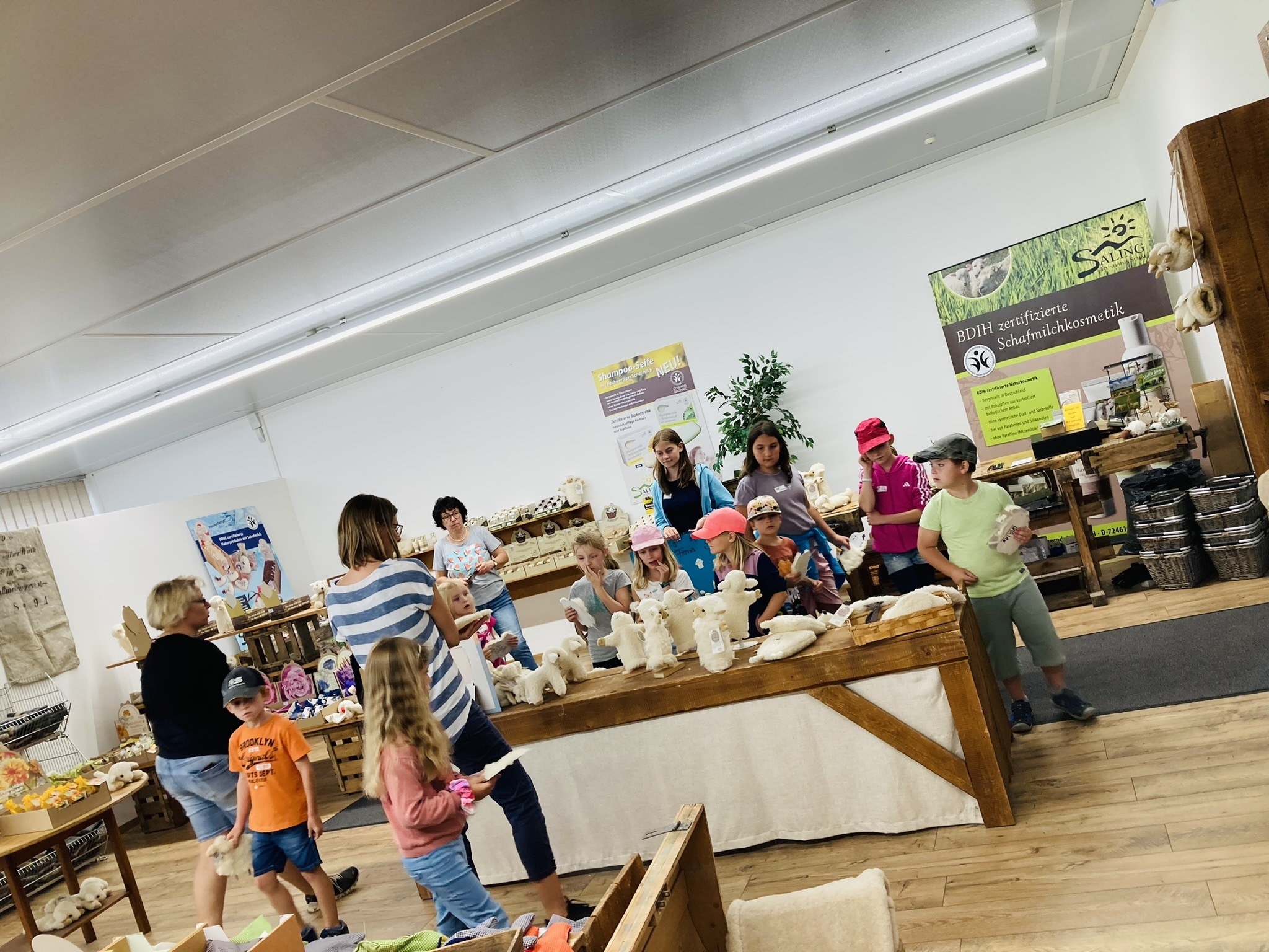 Bild der Galerie