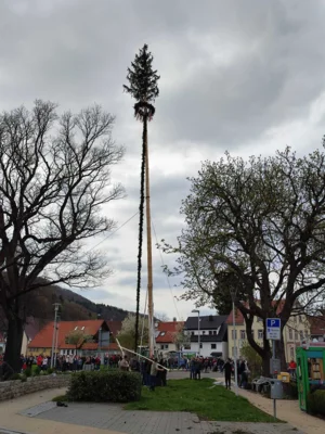 Vorschaubild der Galerie