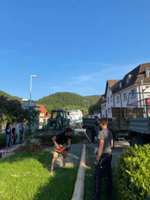 Vorschaubild der Galerie