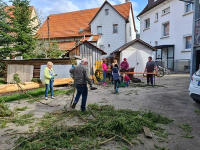 Vorschaubild der Galerie