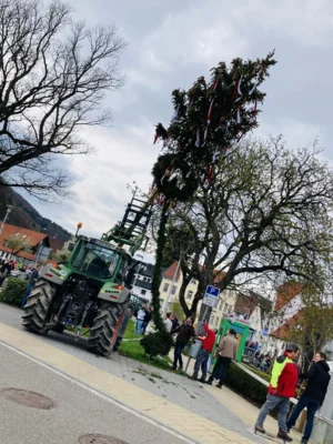 Vorschaubild der Galerie