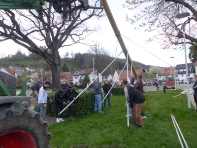 Vorschaubild der Galerie