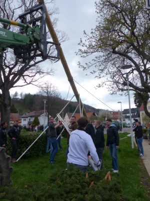 Vorschaubild der Galerie