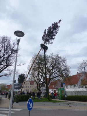 Vorschaubild der Galerie