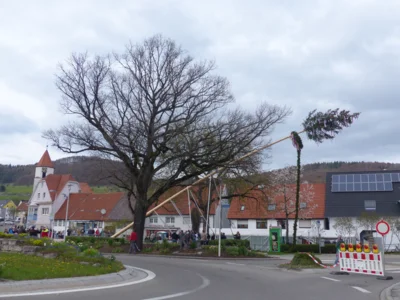 Vorschaubild der Galerie