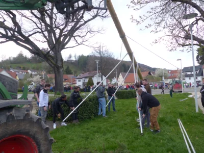 Vorschaubild der Galerie