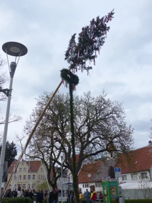 Vorschaubild der Galerie