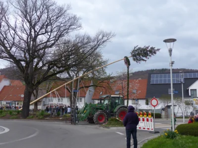 Vorschaubild der Galerie
