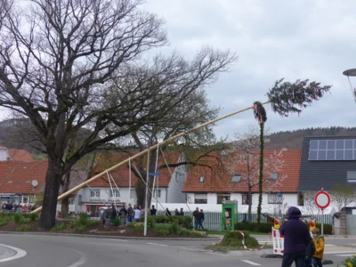 Vorschaubild der Galerie