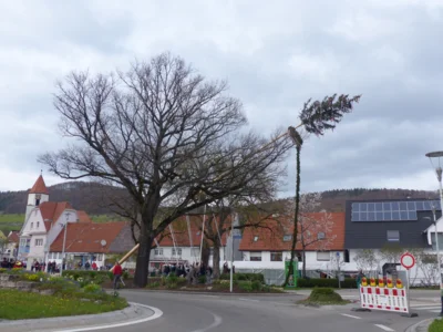 Vorschaubild der Galerie