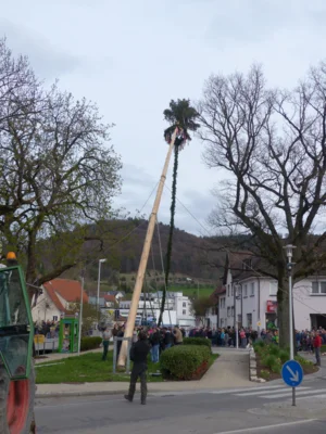 Vorschaubild der Galerie