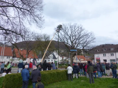 Vorschaubild der Galerie