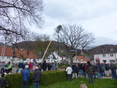Vorschaubild der Galerie