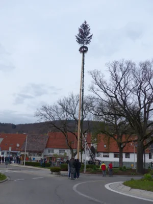 Vorschaubild der Galerie