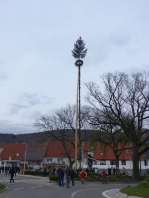 Vorschaubild der Galerie