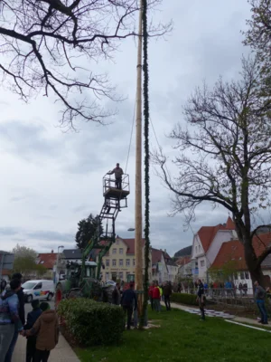 Vorschaubild der Galerie