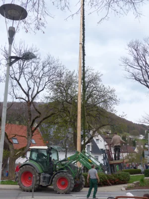 Vorschaubild der Galerie