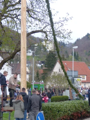 Vorschaubild der Galerie