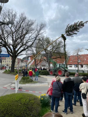 Vorschaubild der Galerie