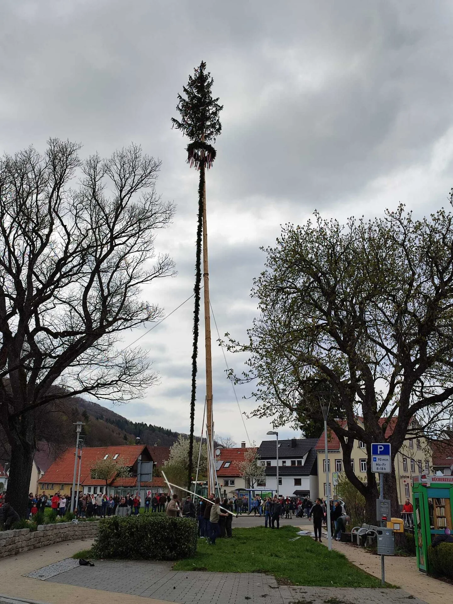 Bild der Galerie