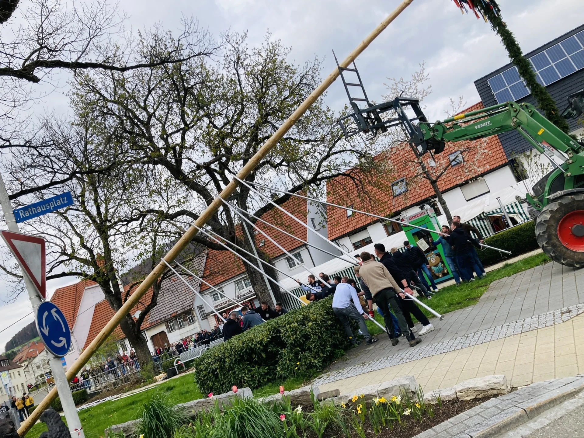 Bild der Galerie