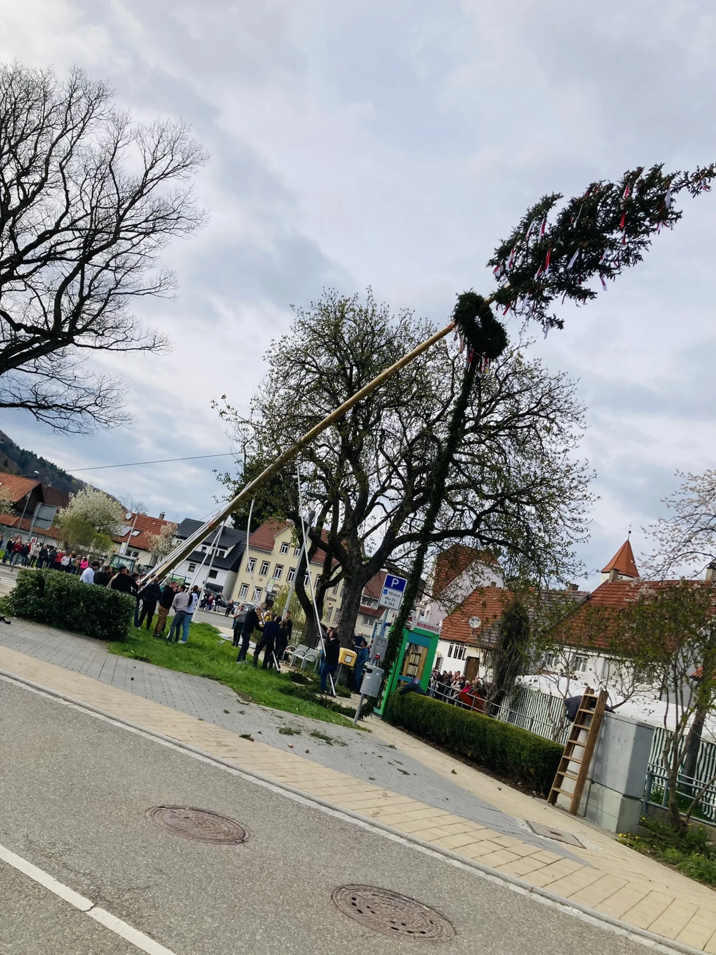 Bild der Galerie