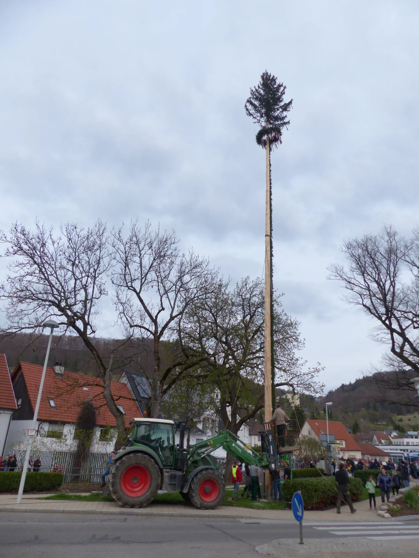 Bild der Galerie