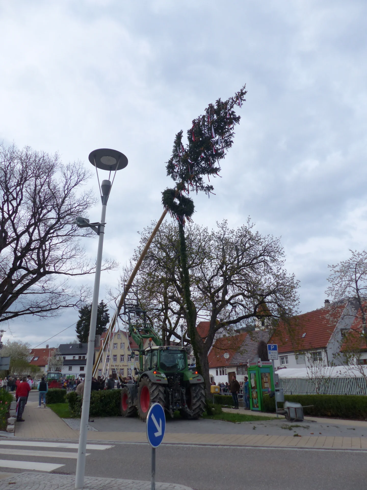Bild der Galerie