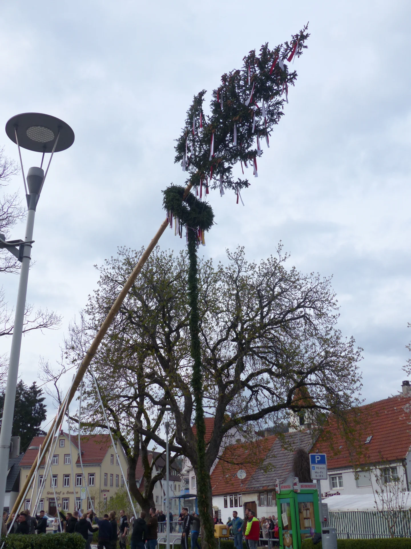 Bild der Galerie