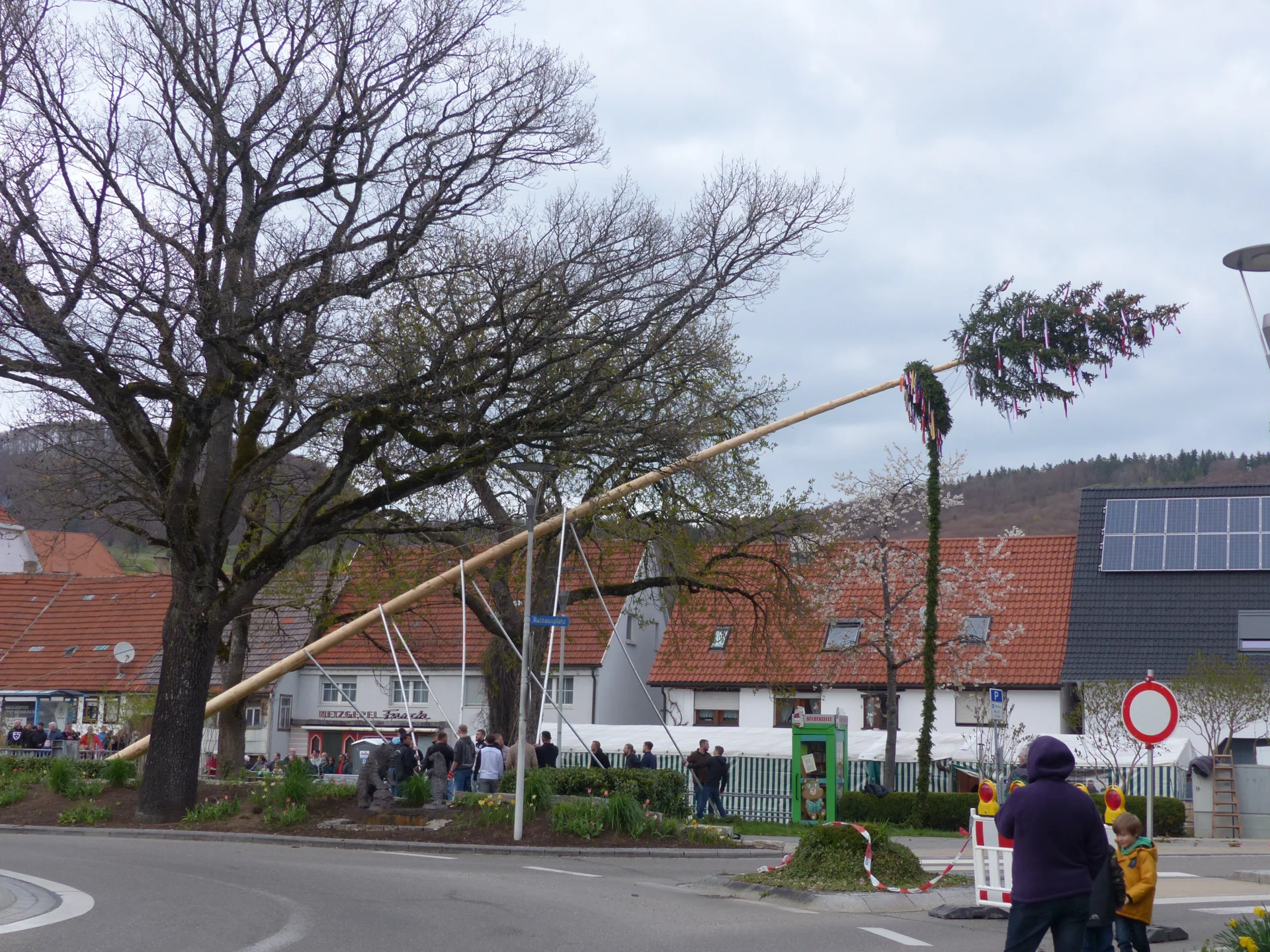 Bild der Galerie