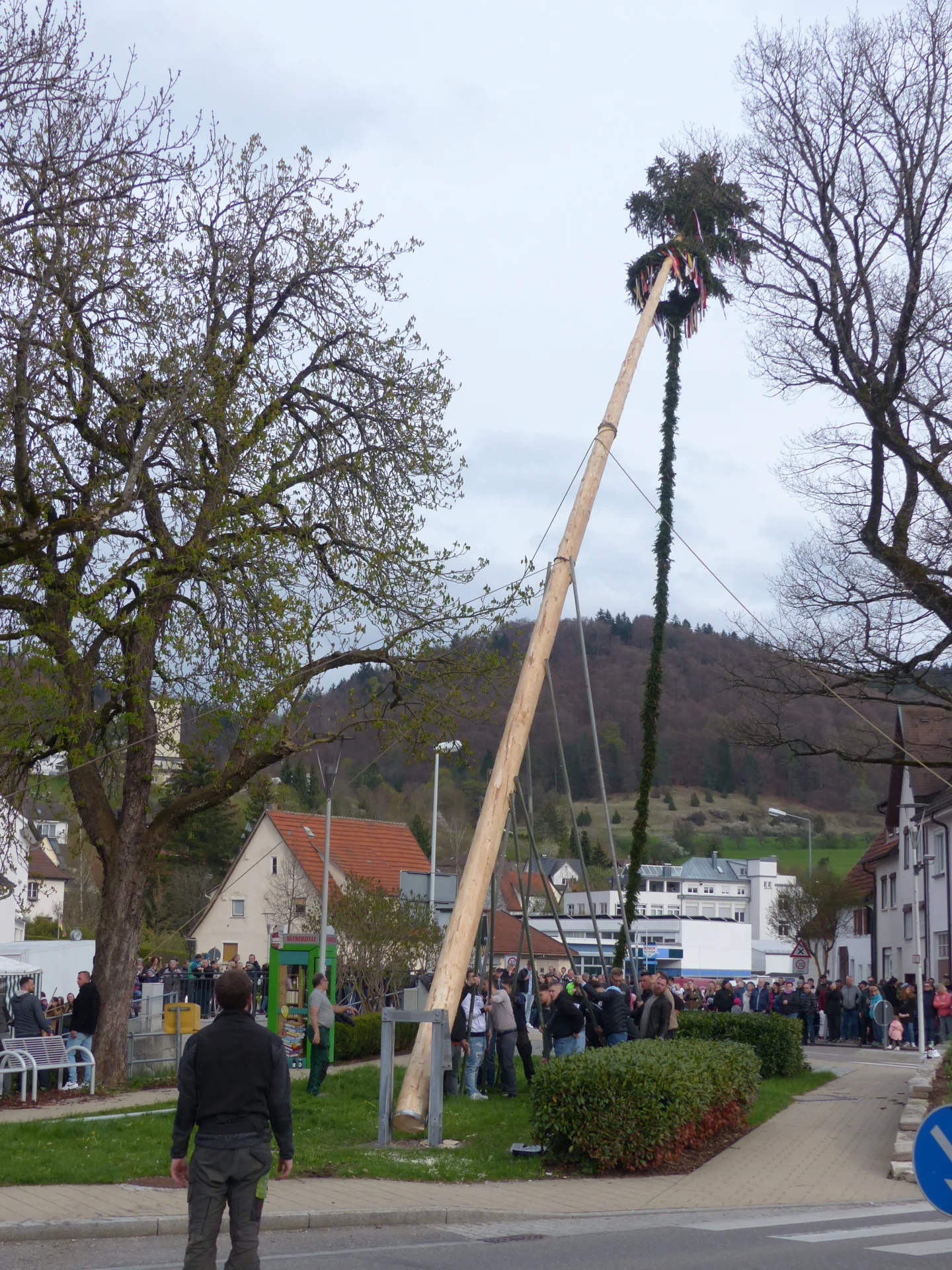 Bild der Galerie